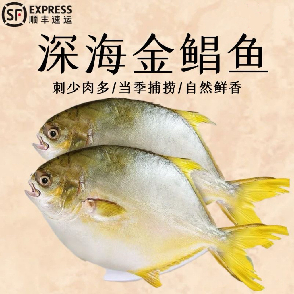 北海【深海金鲳鱼】7-9两新鲜金鲳鱼鲜活海鱼锁鲜金昌鱼顺丰包邮