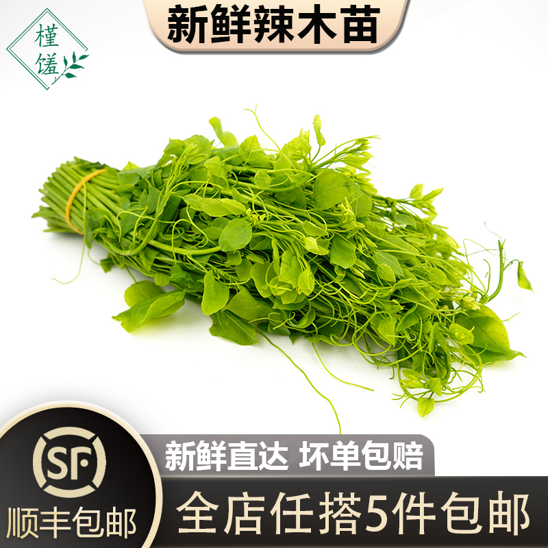 槿馐新鲜辣木苗250g 姑娘菜野菜赤苍藤龙须菜酒店食材新鲜蔬菜