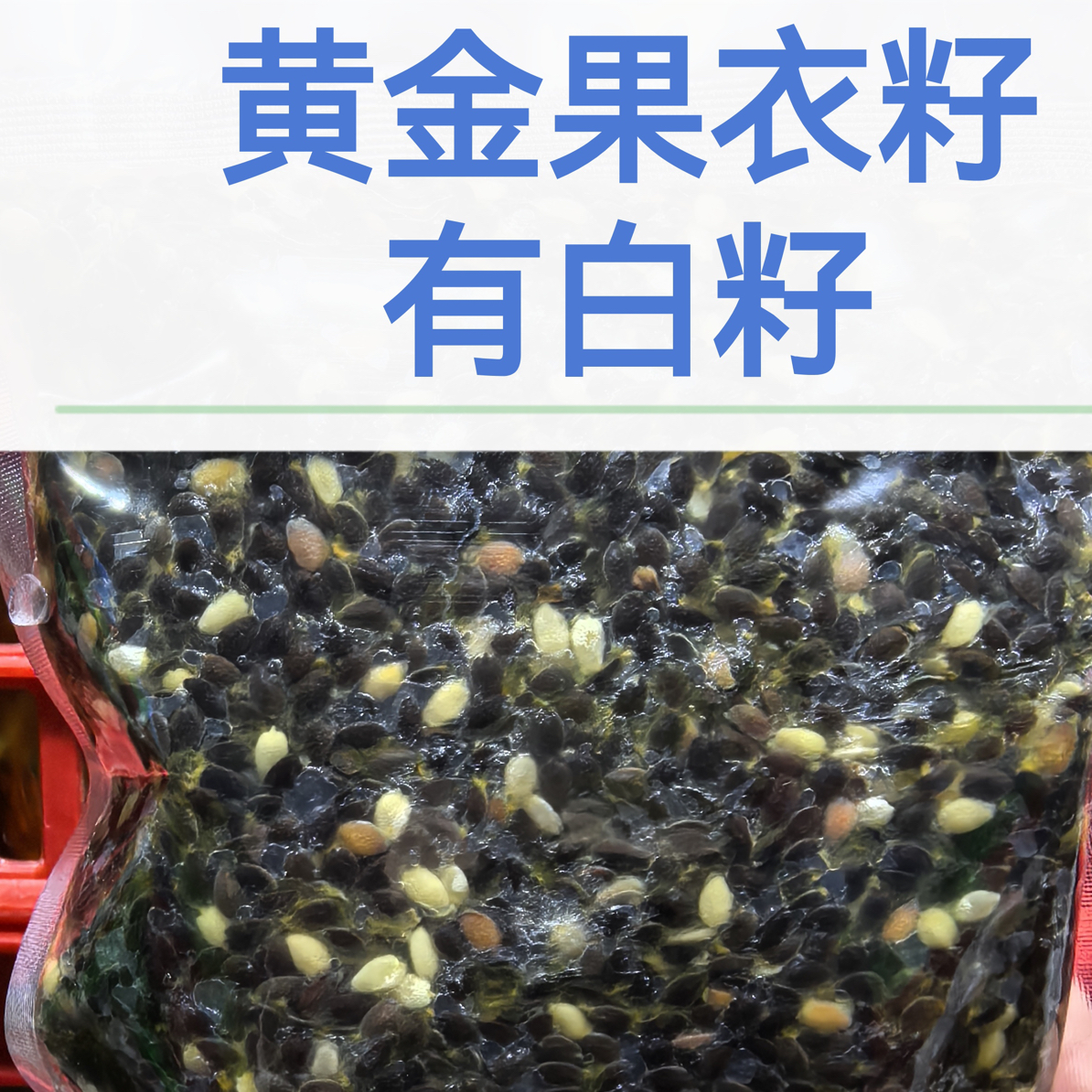 百香果籽（组合）可能有果皮果把