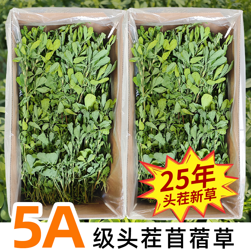 【严选多叶】25头茬苜蓿草兔草食用草龙猫粮草荷兰猪牧草新草苜宿草