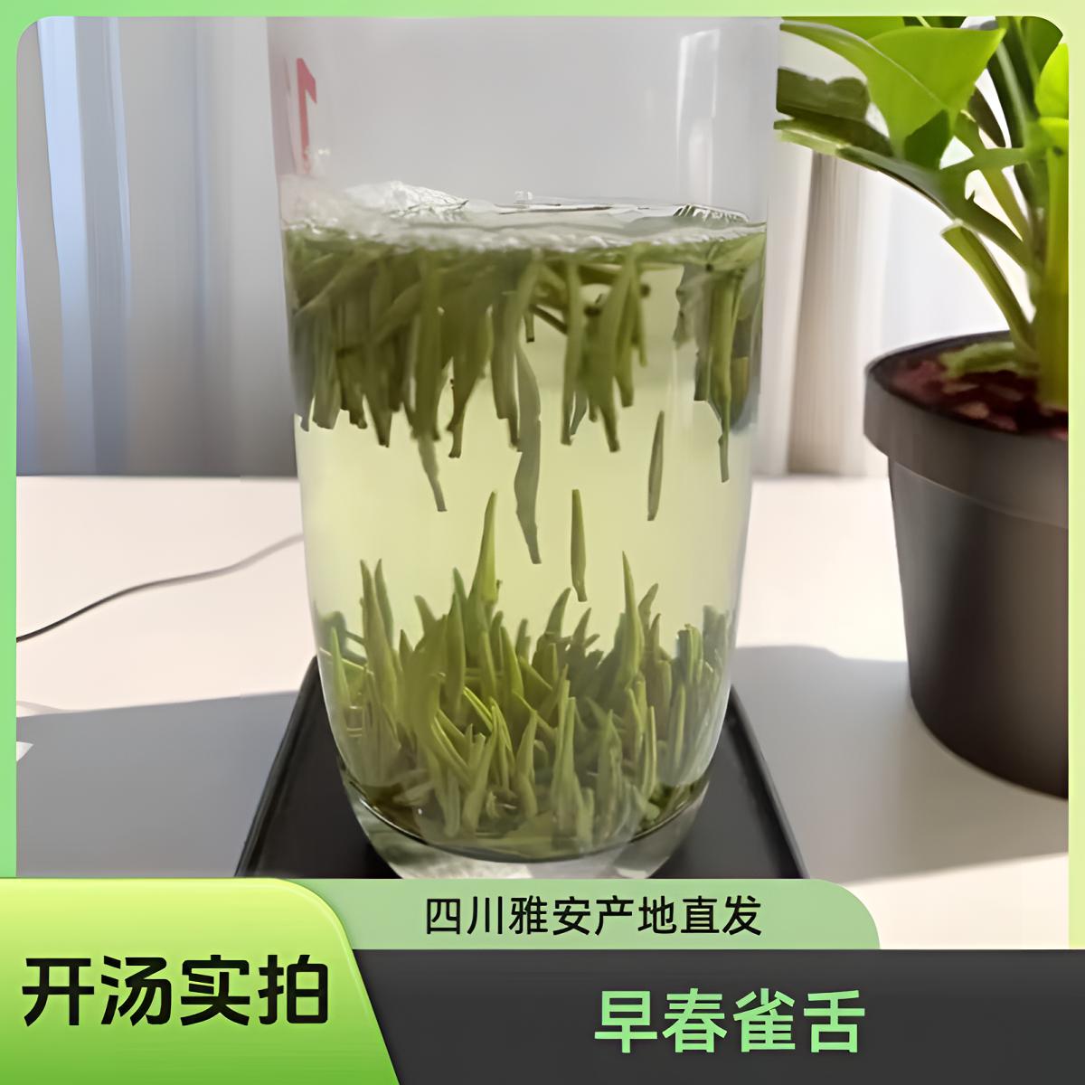 【头采雀舌】2025年蒙顶头采雀舌小芽，清爽鲜爽回甘竹香花香