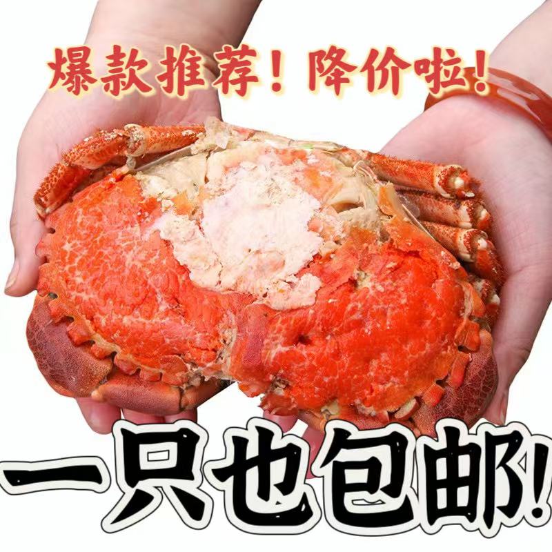 （非真空包装）  熟冻面包蟹 黄道蟹 黄金蟹  膏蟹