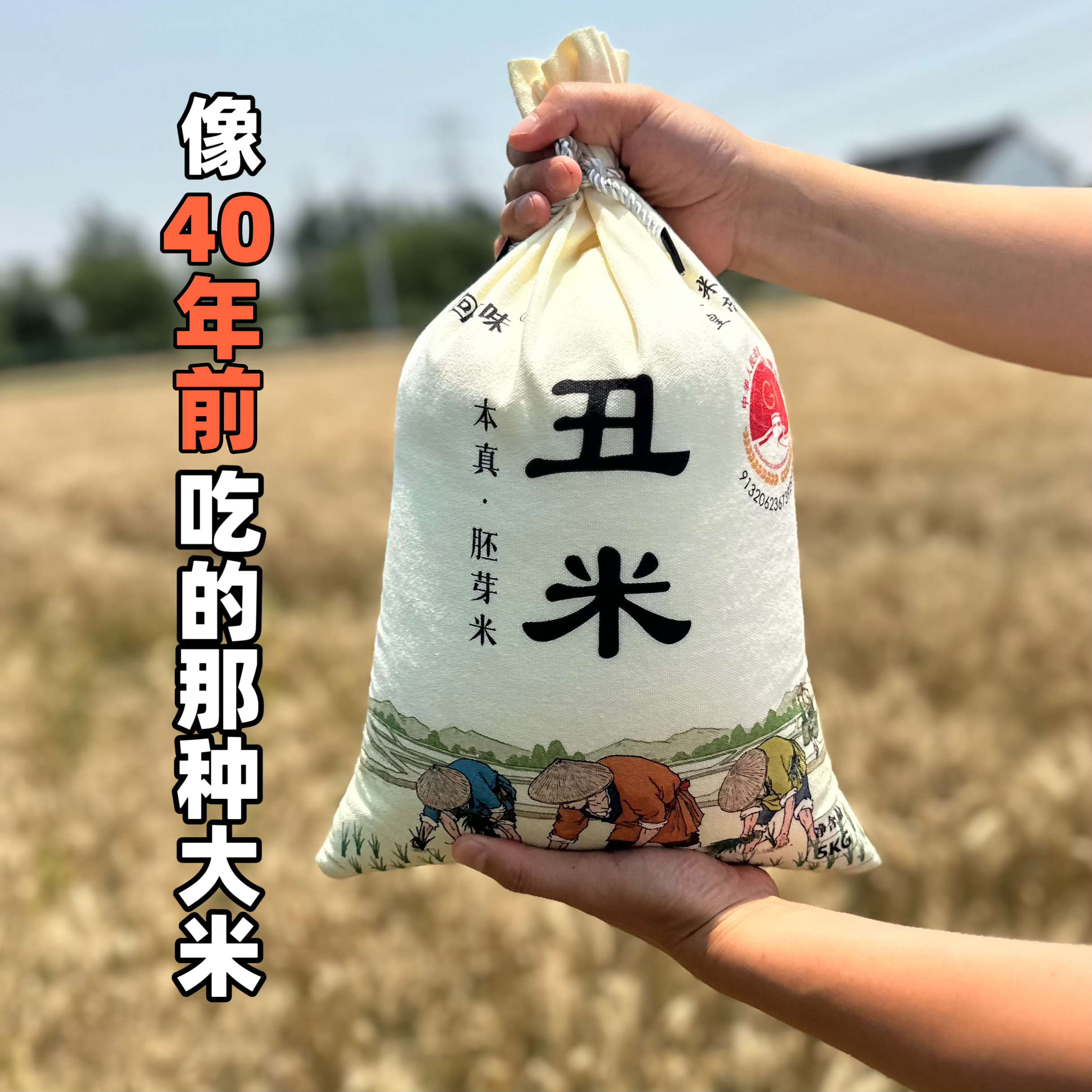 2025年新米 胚芽米 丑米 晚稻粳米 现磨健康 自留种 大米人工除草