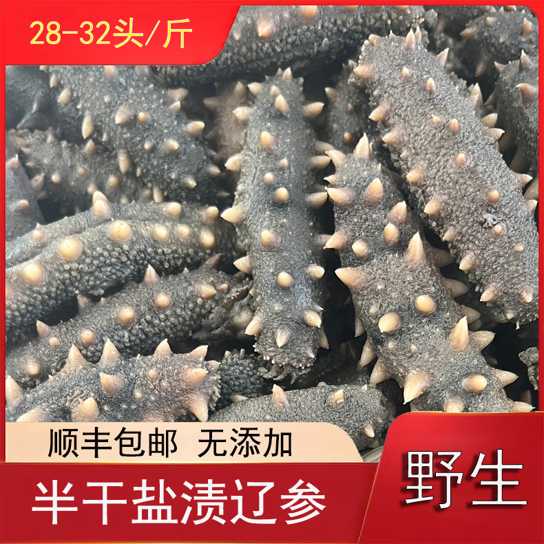 大连半干盐渍（28~32）头/斤顺丰包邮冷冻大连大连辽刺参辽参
