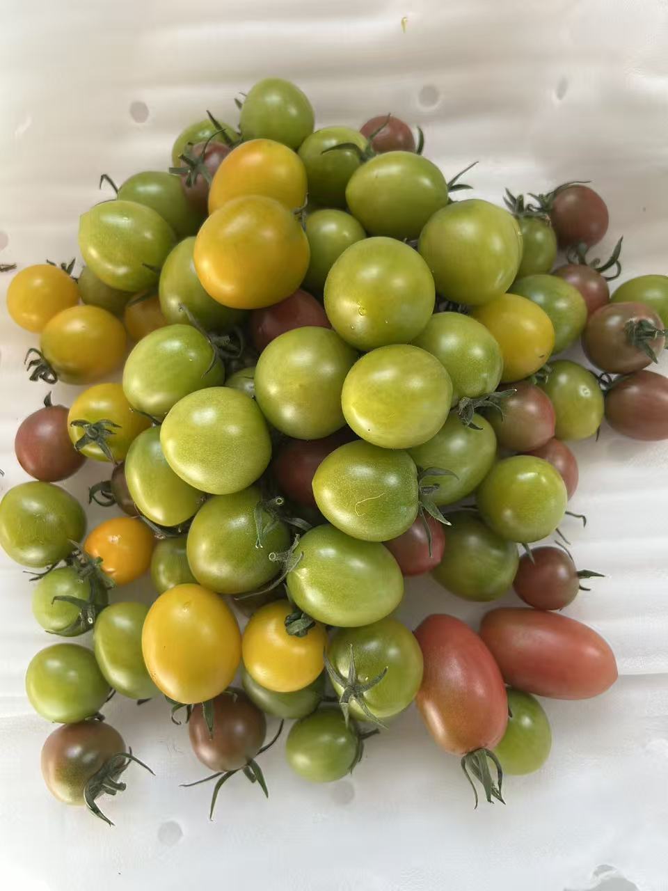 青甜2号小柿子番茄，酸甜可口，柿子味道浓郁，营养丰富