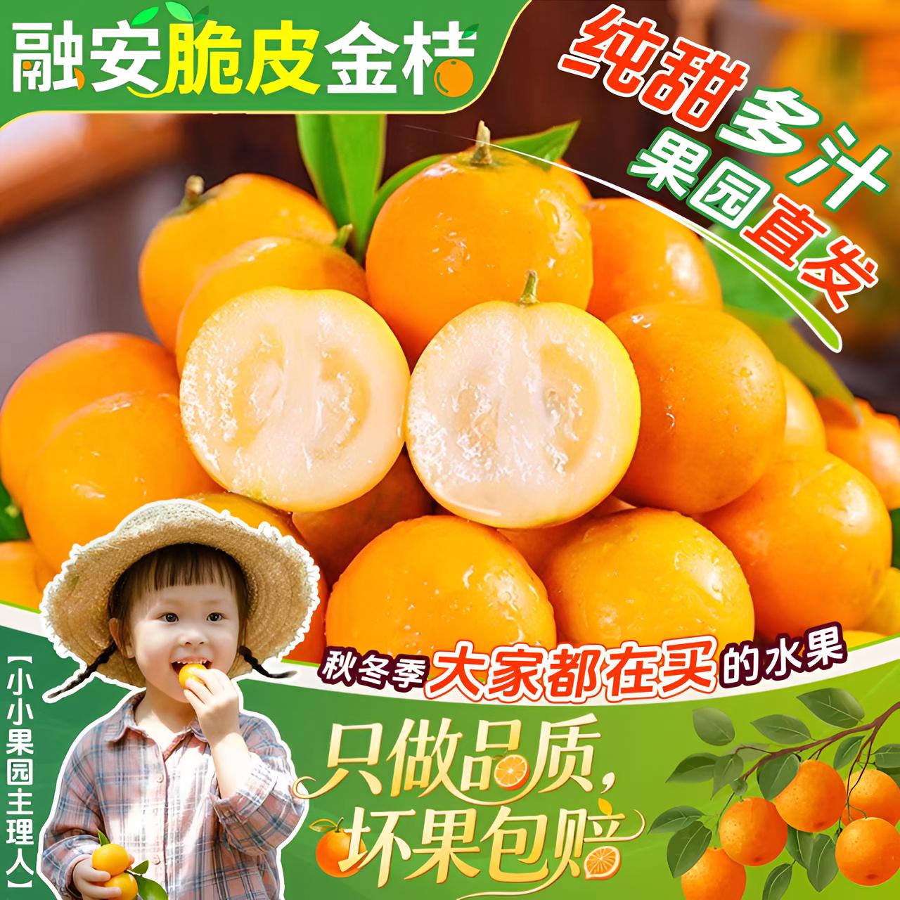 特惠广西脆皮金桔鲜果纯甜无酸新鲜水果优质融安滑皮金桔小金桔