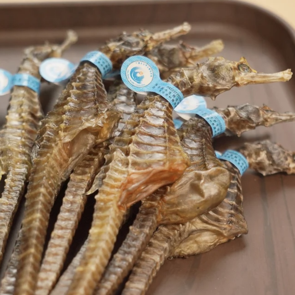 正宗海马干货每对约5g带溯源码当季高品质足干货正品煲汤泡酒盒装