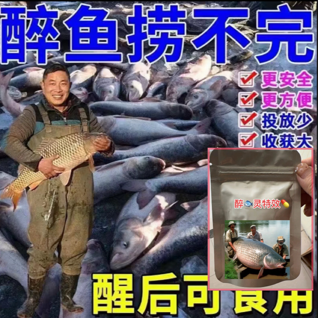 升级款青鱼螺丝添加剂适用于黑坑野河钓黄鳝鲈鱼等多种鱼类醉鱼灵