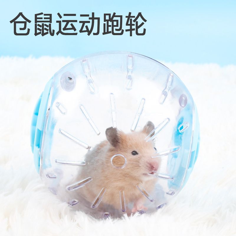 小仓鼠玩具跑球滚轮运动金丝用品跑步滚球闪光跑步球跑轮透明