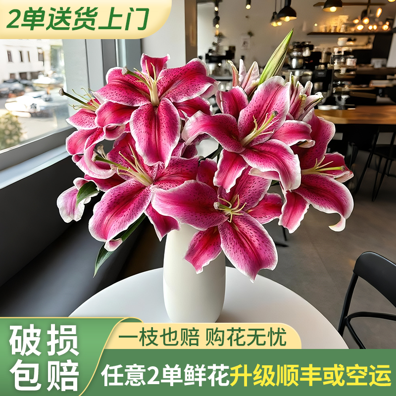 【源头优选老六】黑美人香水百合/元旦预热 任意两单鲜花升级快递