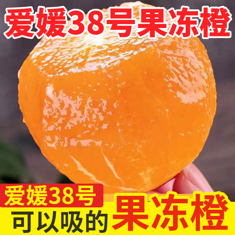 【田书记助农】爱媛果冻橙新鲜采摘橙子爱媛38号四川核心产区