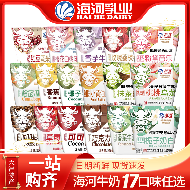 海河现货【新日期】天津海河牛奶巧克力学生儿童水果奶饮料整箱草莓