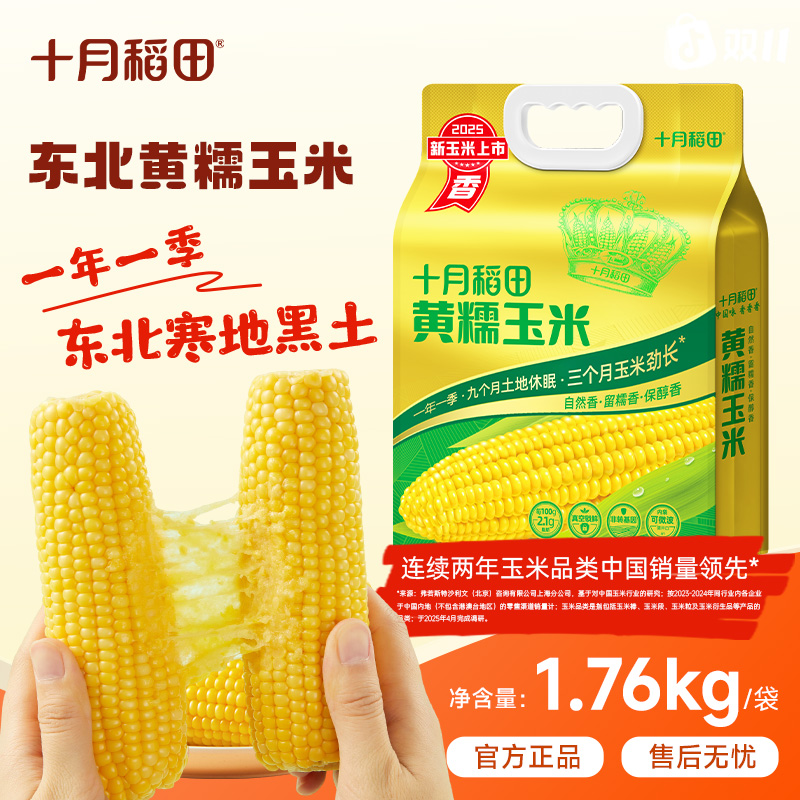 粗粮轻食 十月稻田黄糯玉米棒香甜东北黏苞米拉丝真空早餐食材