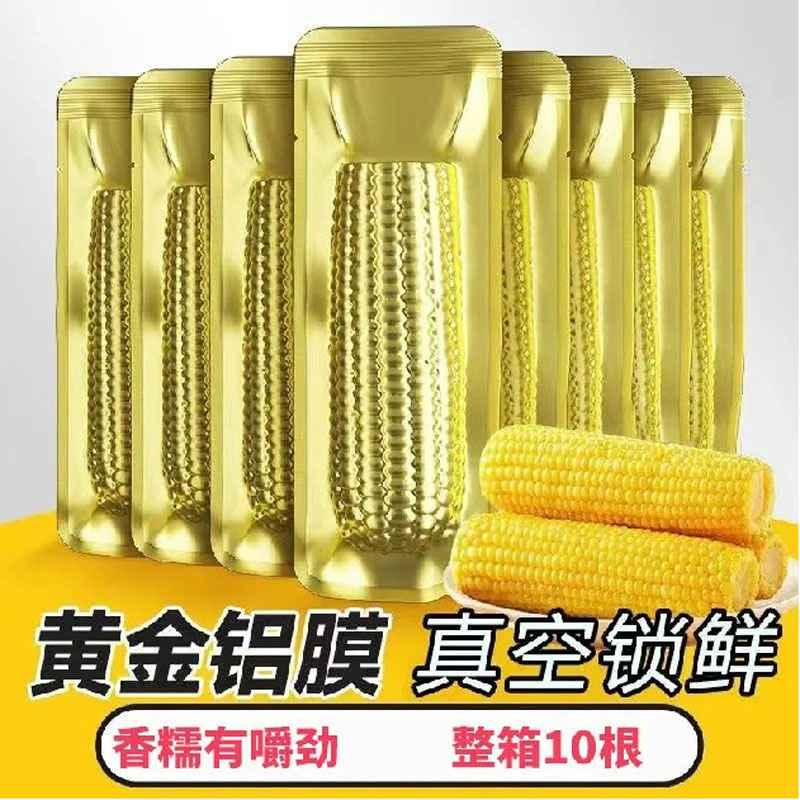【试吃2根】铝箔包装东北黄糯玉米大棒10根整箱5-6斤香甜软糯NH