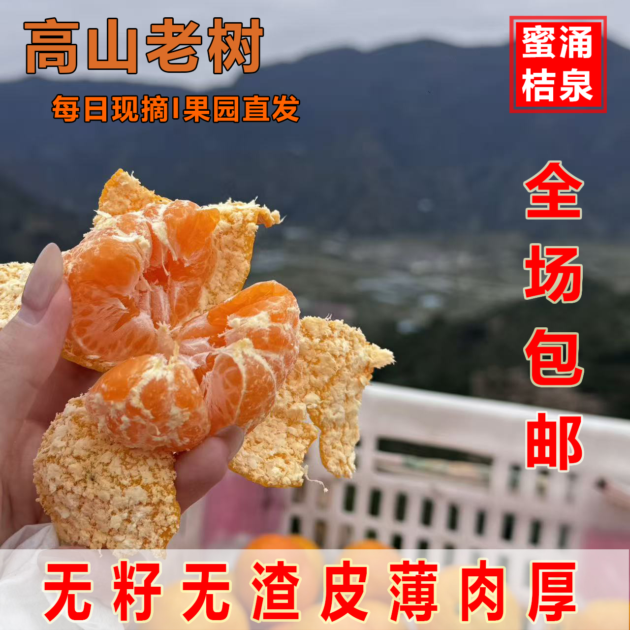 正宗临海涌泉蜜桔宫川无籽无渣当季新鲜水果台州蜜橘子高山桔子甜