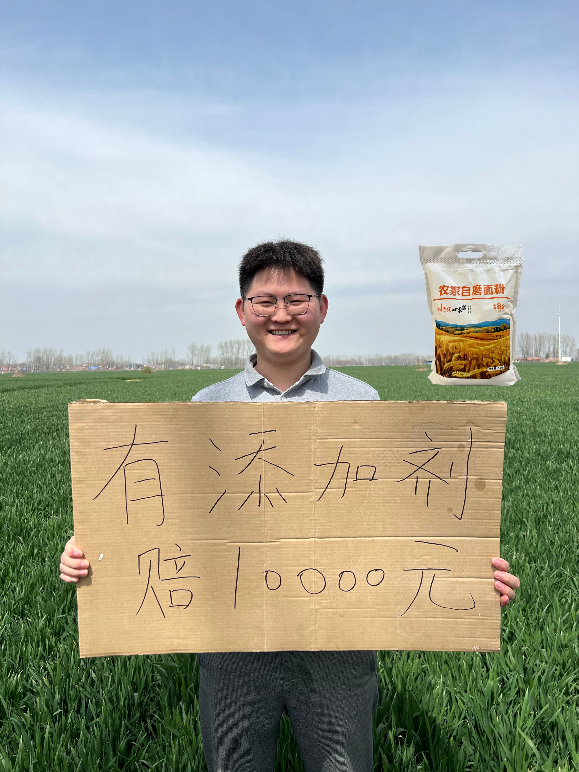 小齐家自磨面粉零添加剂含胚芽麦芯包子馒头面条饺子小麦