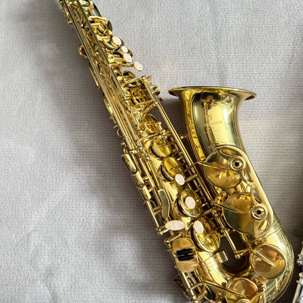 降E调中音萨克斯适合初学者考级与表演