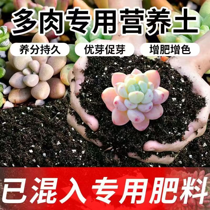 多肉专用营养土泥土室内外养花通用型种植土绿植酸性土壤颗粒土