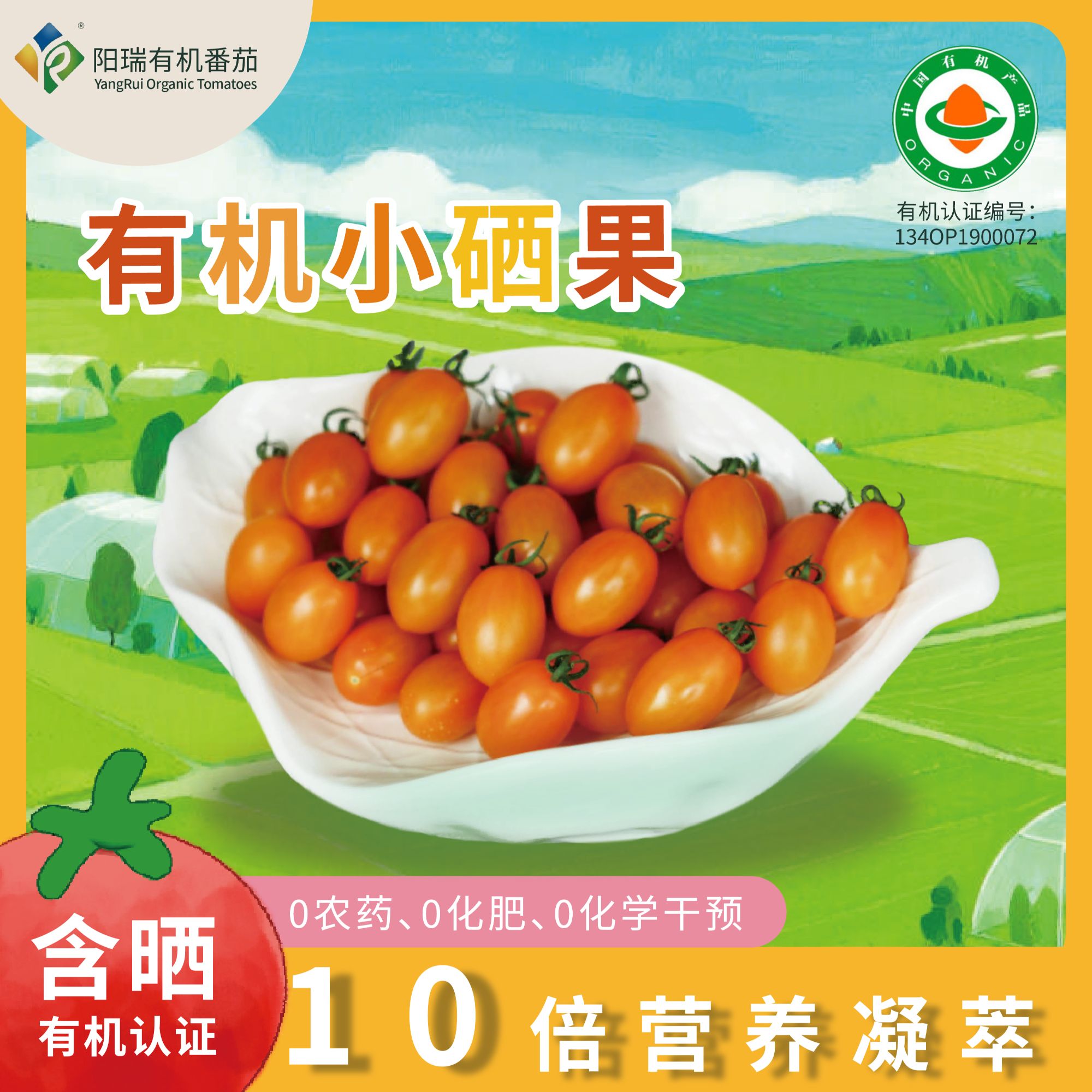 云南高原【有机小硒果】10倍营养清甜多汁 有机番茄 250g/盒*4盒/箱