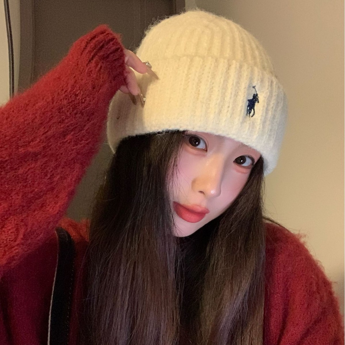 秋冬新款小马刺绣针织帽时尚百搭情侣款冷帽户外防寒保暖毛线帽子