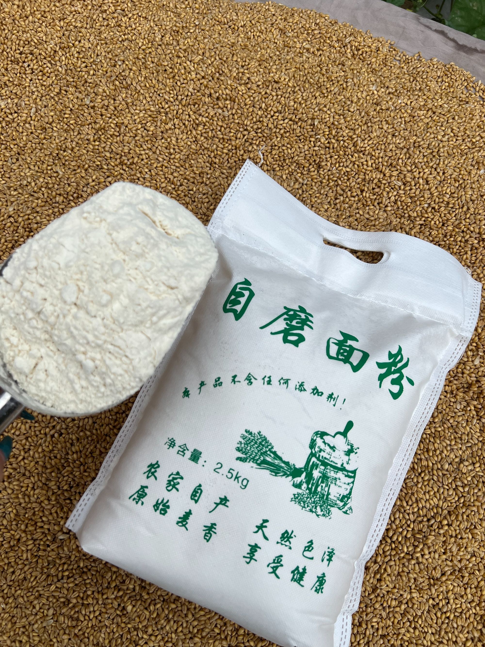 农家自磨面粉小麦面5斤无添加纯小麦粉馒头包子专用粉现磨现发