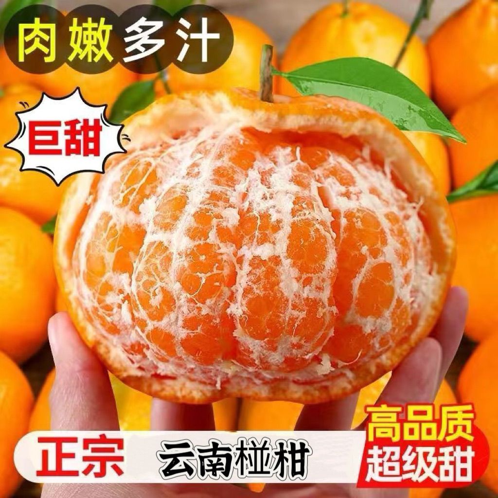 正宗云南椪柑芦柑新鲜当季柑橘酸甜水果桔子整箱现摘现发