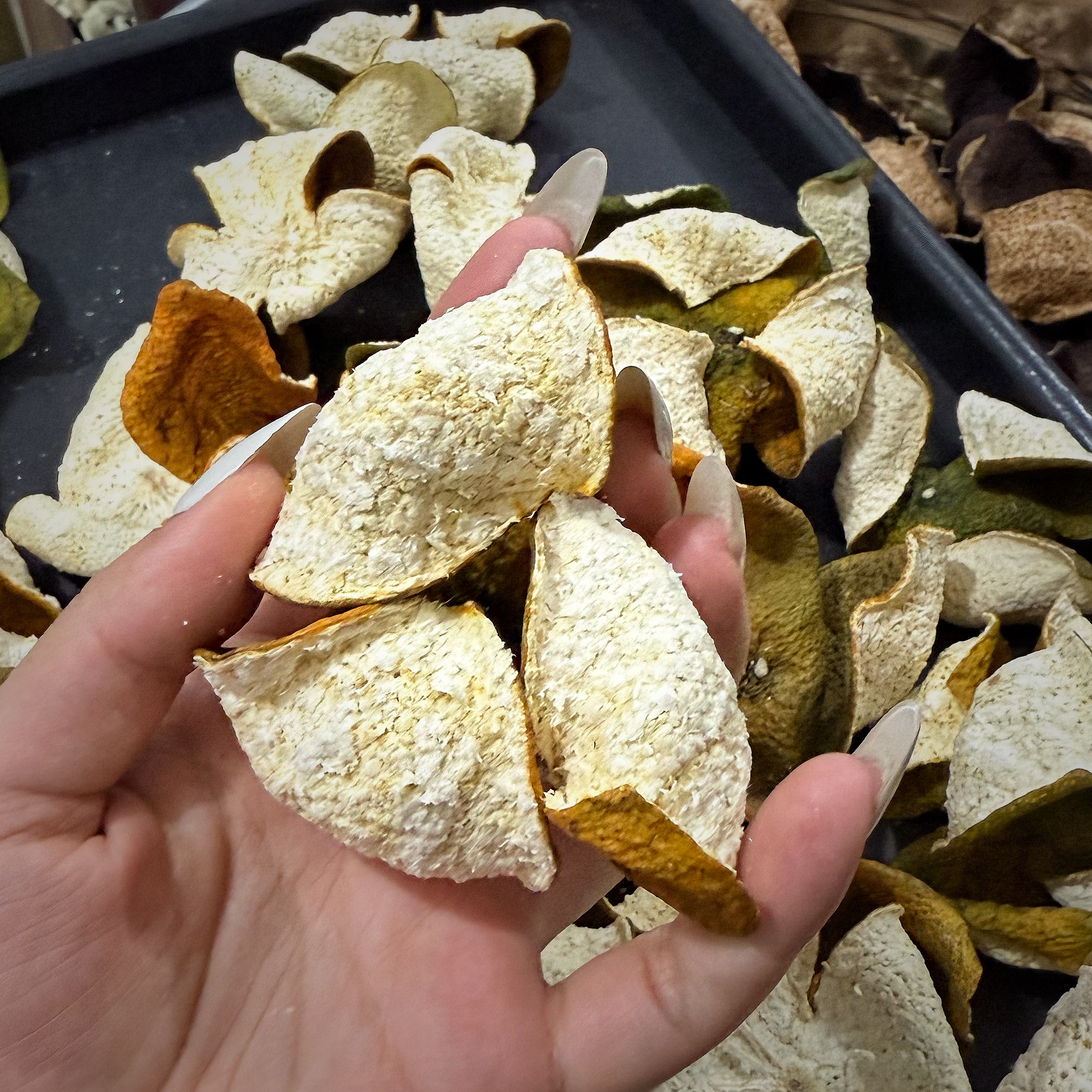 【大主播塞口围同款】2025梅江原枝二红皮3两果二红转大红皮新会陈