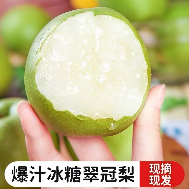  砀山正宗翠冠梨 脆甜多汁 皇冠梨 坏果包赔