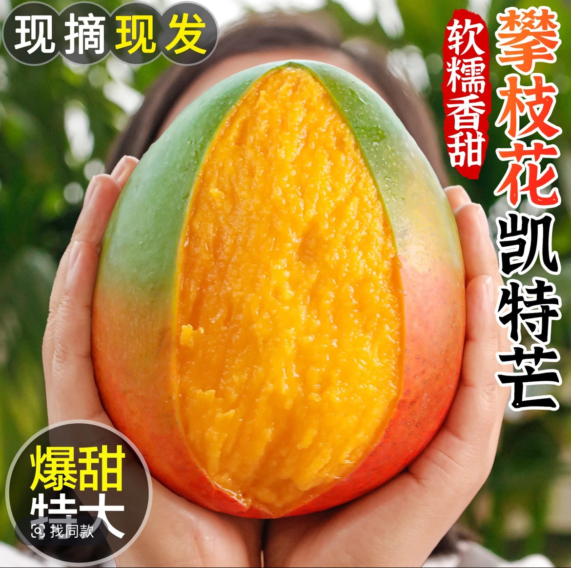 【香甜】攀枝花凯特芒果新鲜现摘