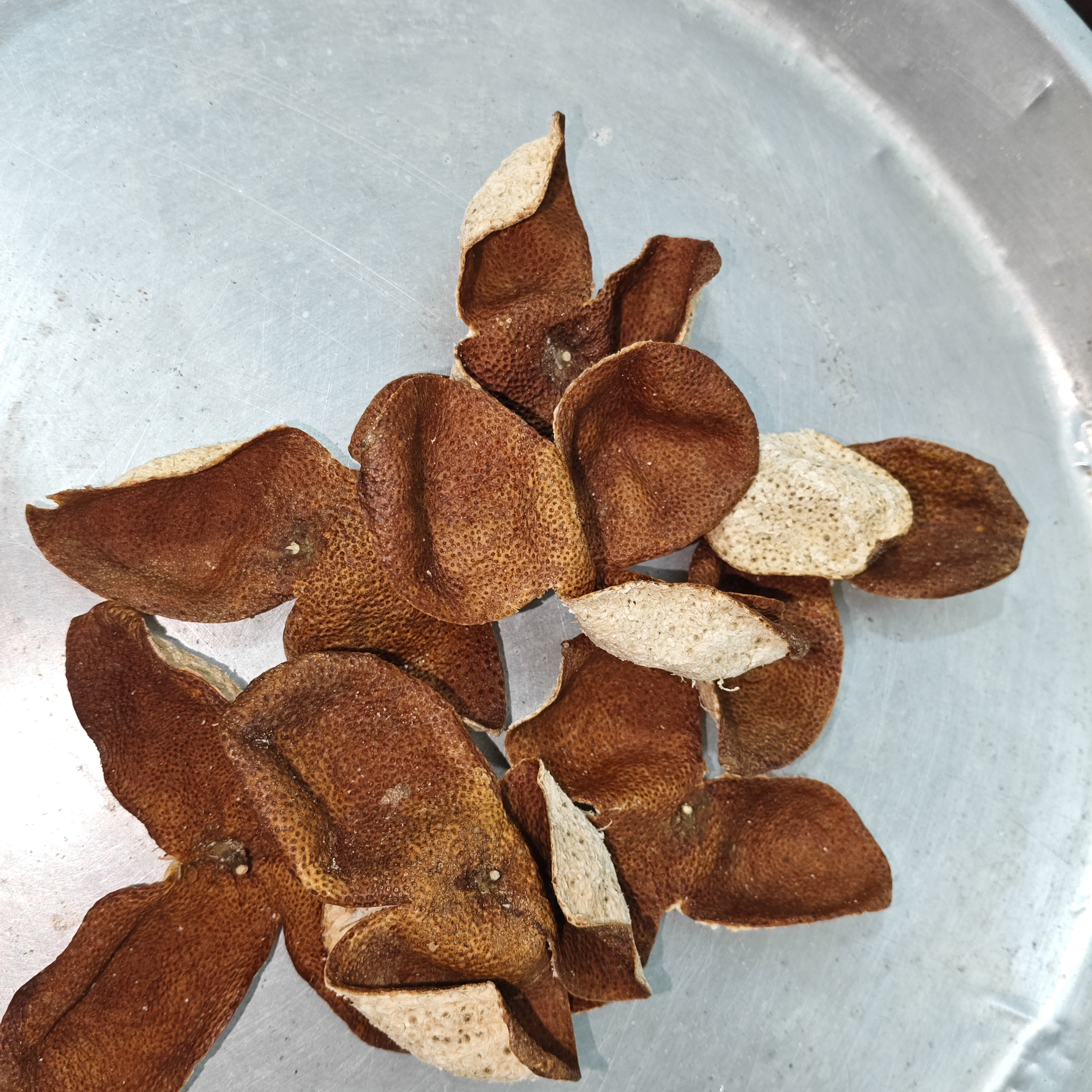 广西浦北陈皮大红皮正宗各种树龄大红柑又称茶枝柑陈皮自然陈放皮