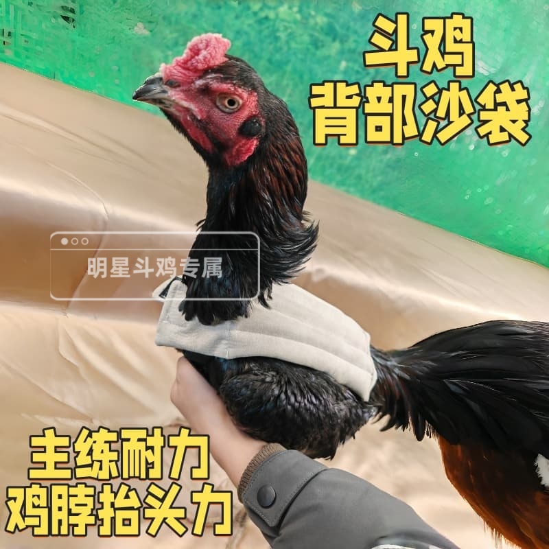 沙袋斗鸡沙袋背部沙袋斗鸡训练用品斗鸡腿部训练使用沙袋斗鸡专用