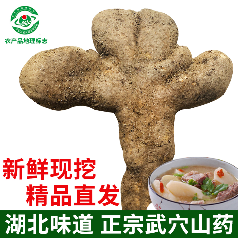 湖北武穴梅川佛手山药特产农产品煲汤营养粉糯爽滑久煮不烂不糊锅