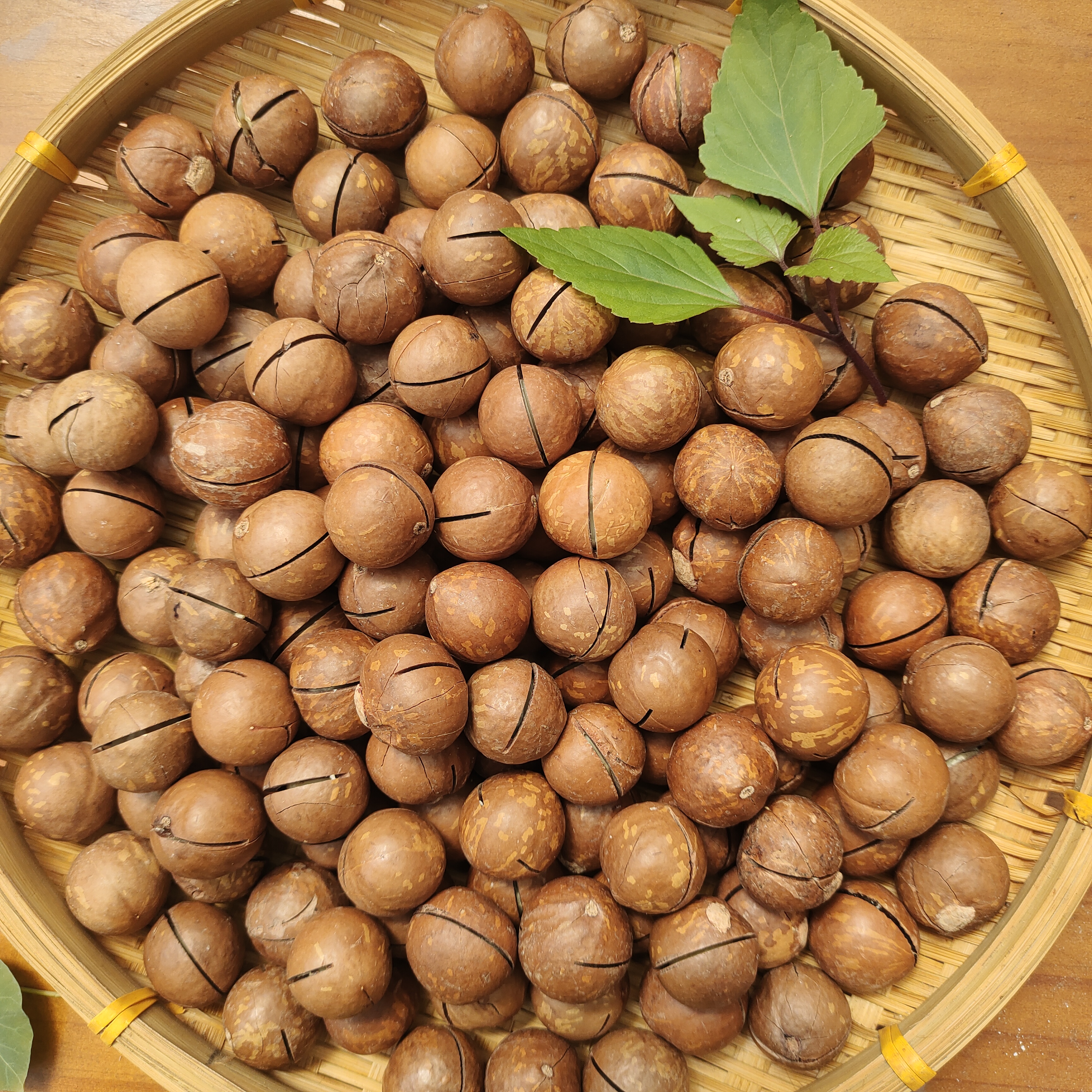 优质夏威夷果【阿豪精选】