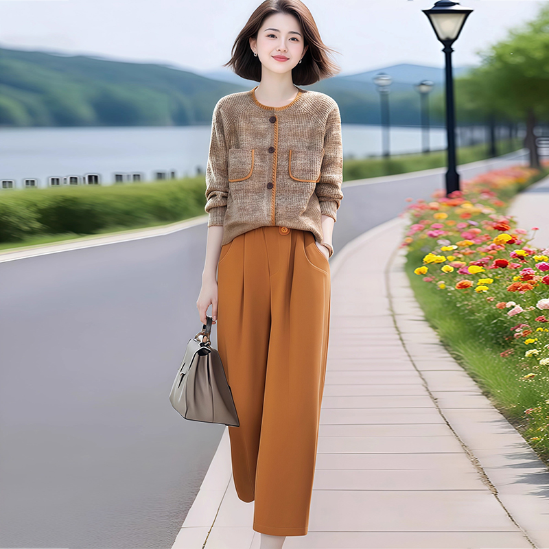 2025春秋新款慵懒休闲风针织套装女宽松毛衣开衫高腰阔腿裤两件套