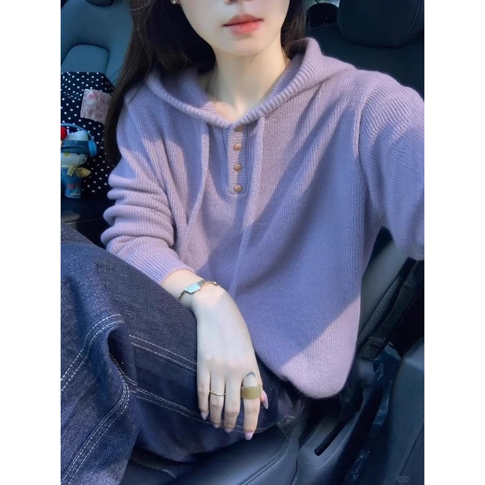 2025新款今年流行爆款韩系独特漂亮连帽上衣紫色针织衫毛衣女秋冬