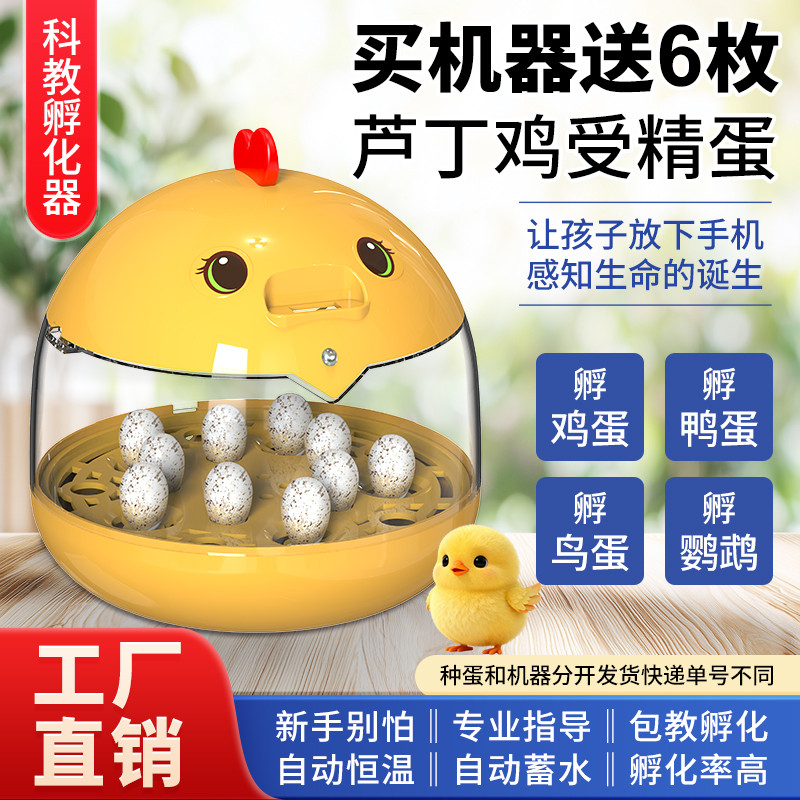 送种蛋科教孵化器小型家用全自动控温恒温孵化箱芦丁鸡儿童孵蛋器
