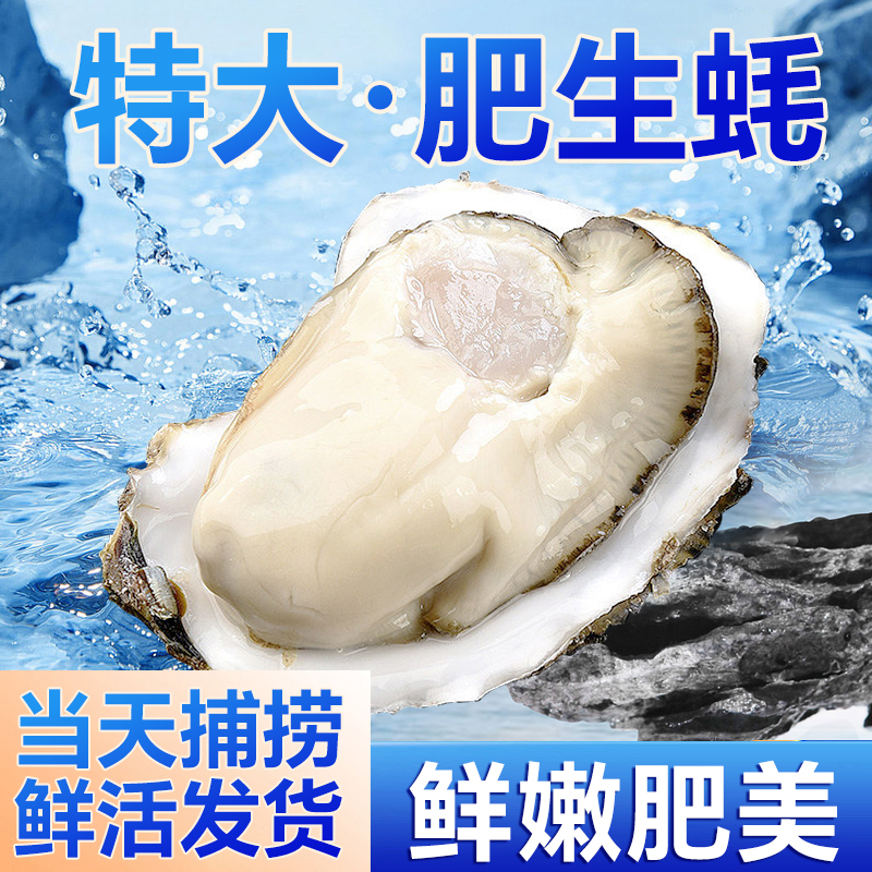正宗乳山生蚝175-225G/只到手16只 产地直发活鲜海蛎牡蛎火锅烧烤