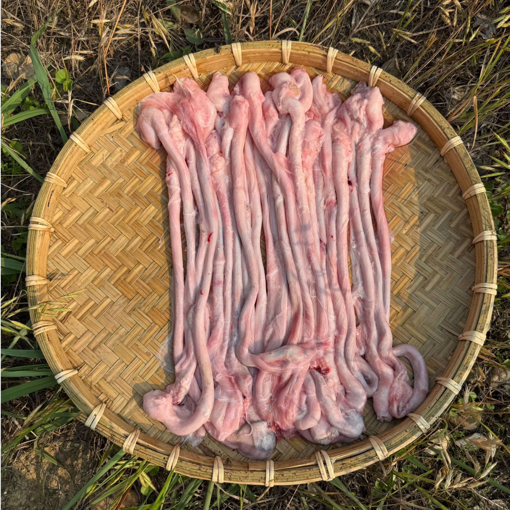 【顺丰包邮】猪猪侠的肉铺新鲜猪鞭猪茎3斤装速冻发货新鲜猪肚排骨