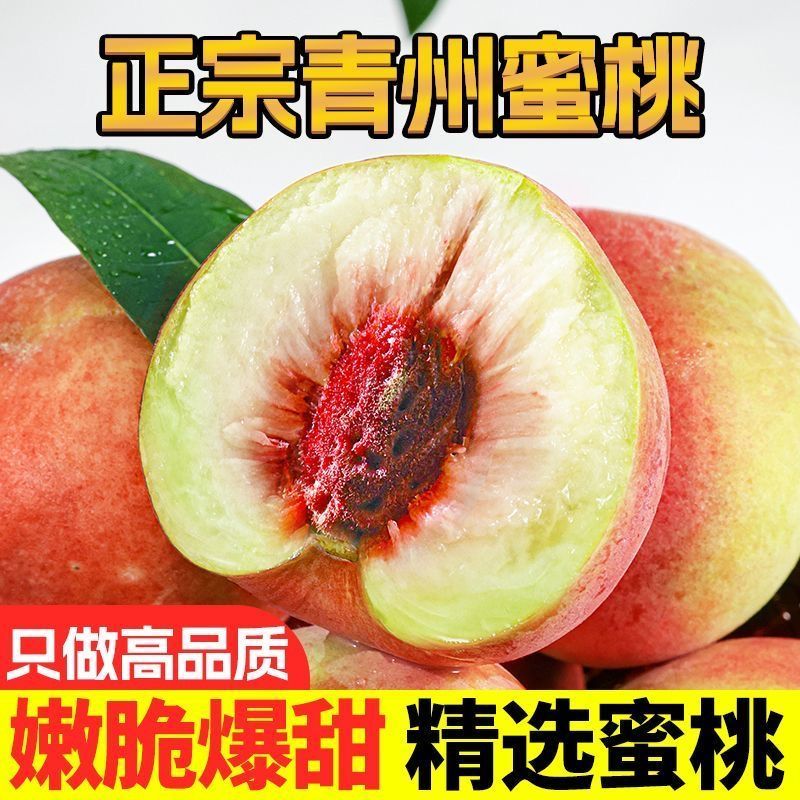 当季新鲜青州蜜桃脆甜青皮脆蜜桃小毛桃脱骨离核脆甜多汁硬桃冬桃
