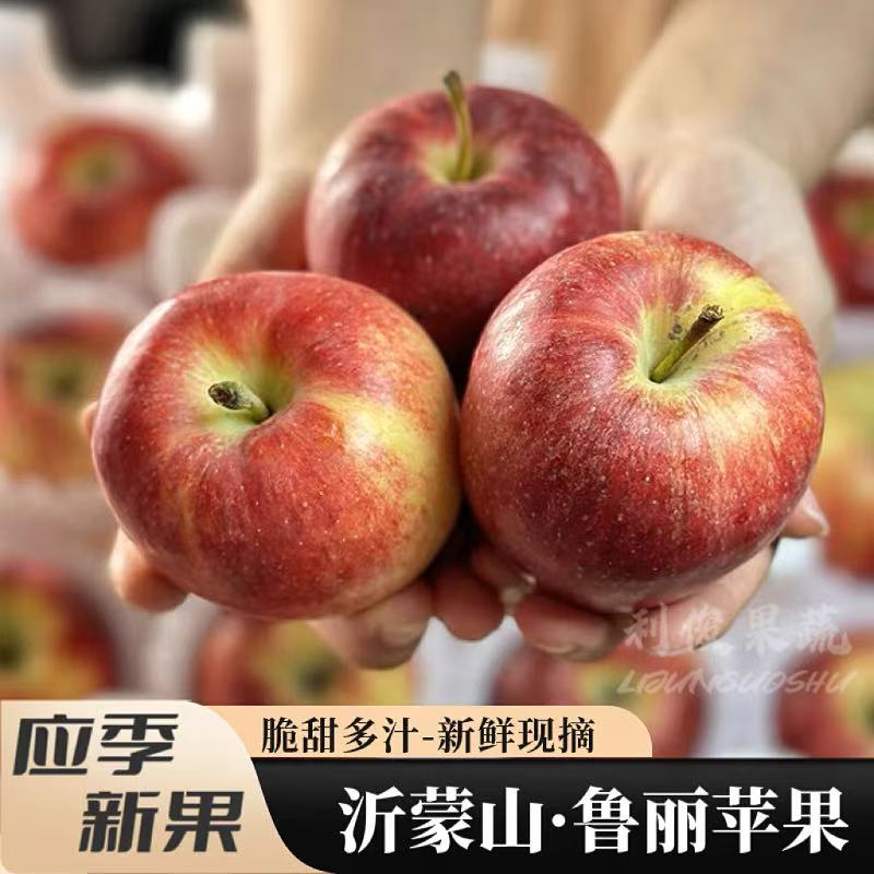 正宗山东沂蒙山鲁丽小苹果蒙阴特产新鲜水果整箱