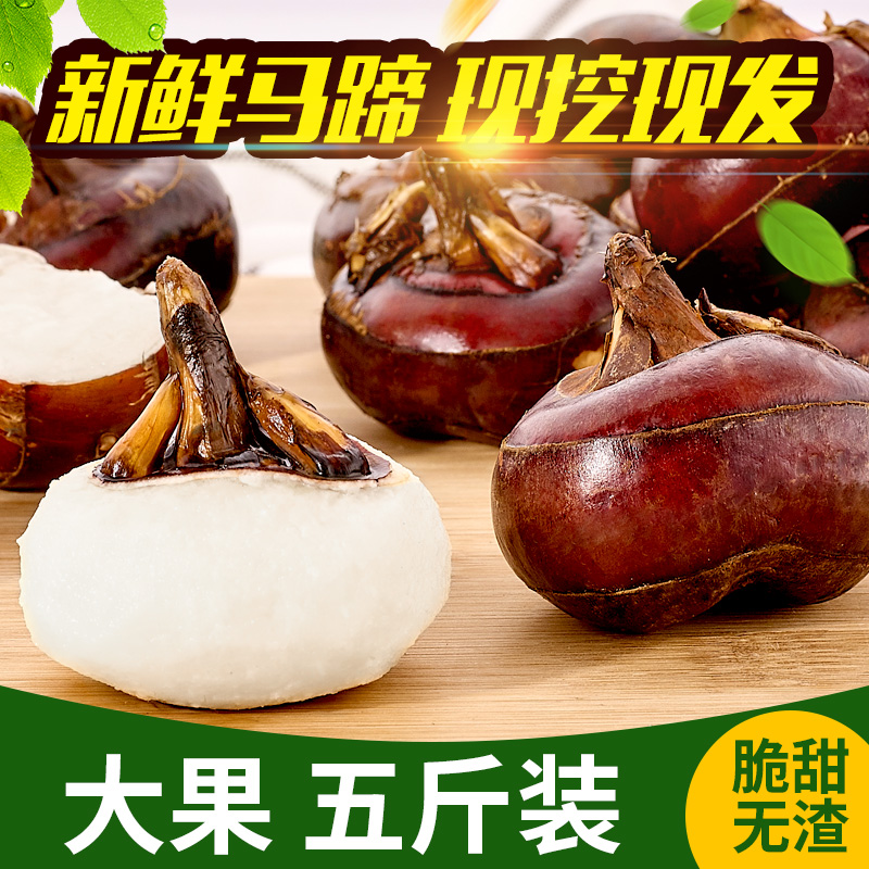 5斤正宗广西马蹄斤新鲜荸荠地栗地梨农家水果蔬菜大果清甜无渣