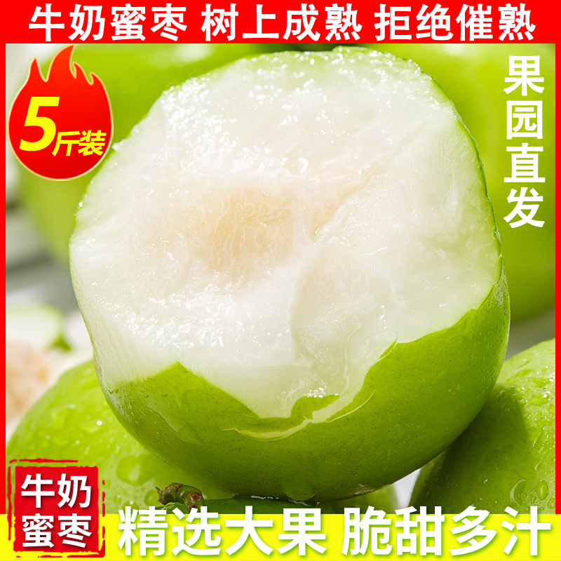 【5斤装】果王【福建漳州】正宗牛奶大青枣脆甜应季贵妃苹果蜜枣