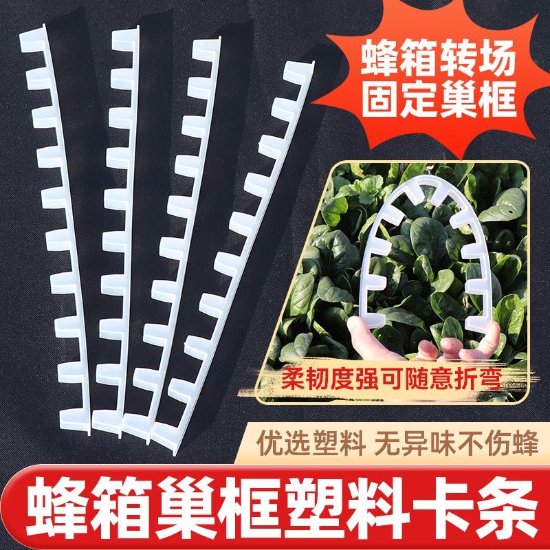 蜂具塑料卡条养蜂专用工具蜜蜂全套蜂箱转场卡中蜂固定器巢框卡条