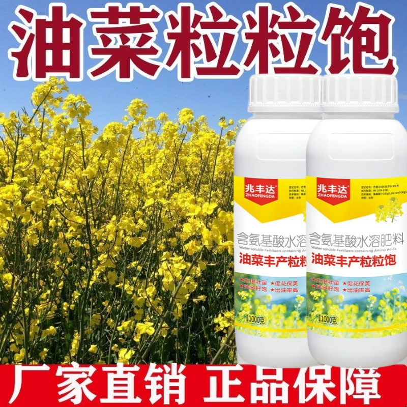油菜丰产粒粒饱油菜专用含氨基酸水溶肥增产增收工厂直销