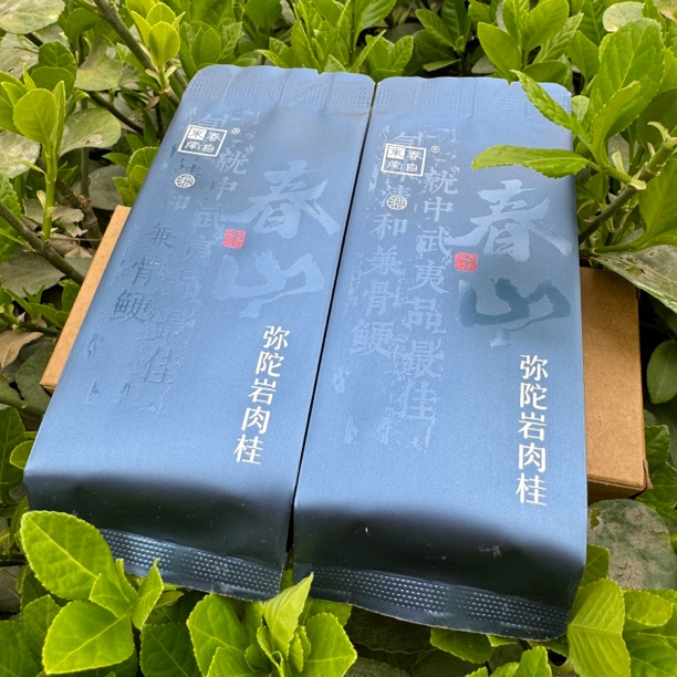 春自东南春山～弥陀岩肉桂中火武夷山岩茶肉桂17克/255克/510克