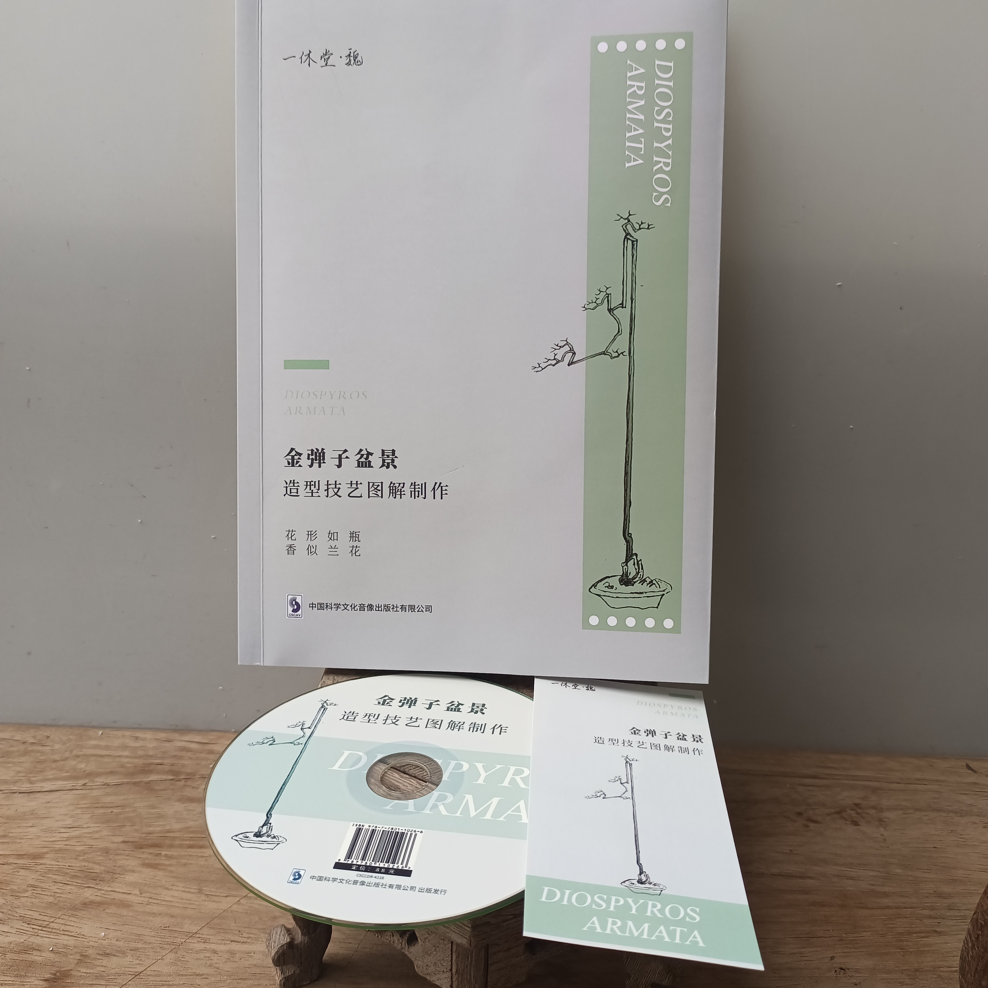 金弹子金枝玉叶造型技艺书彩页盆景金枝玉叶造型盆景