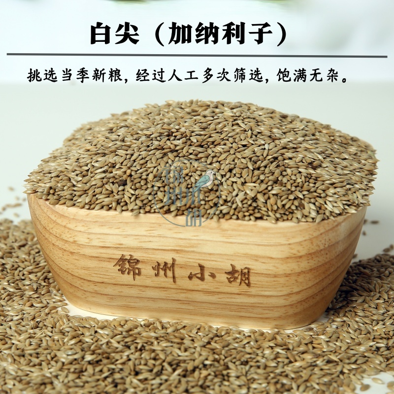 小粒白尖 加纳利子鸟粮鸟食真空包装玉鸟丝雀鹦鹉品质高