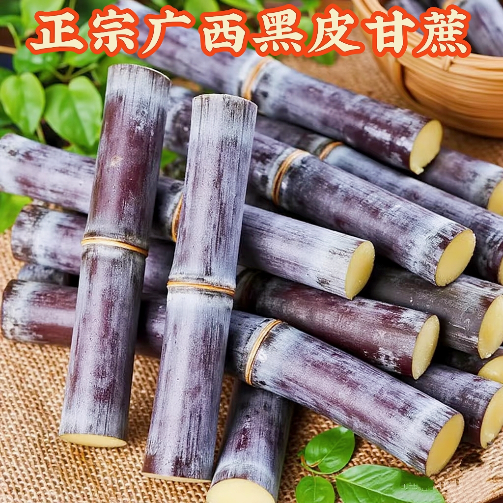 广西桂林阳朔黑皮甘蔗5斤8斤新鲜现砍现发正宗水果甘蔗脆甜多汁