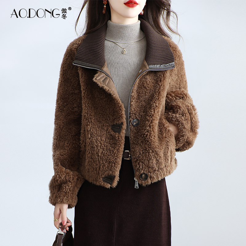 海宁颗粒绒皮草外套女短款一体保暖翻领加厚年轻款羊羔毛大衣冬季