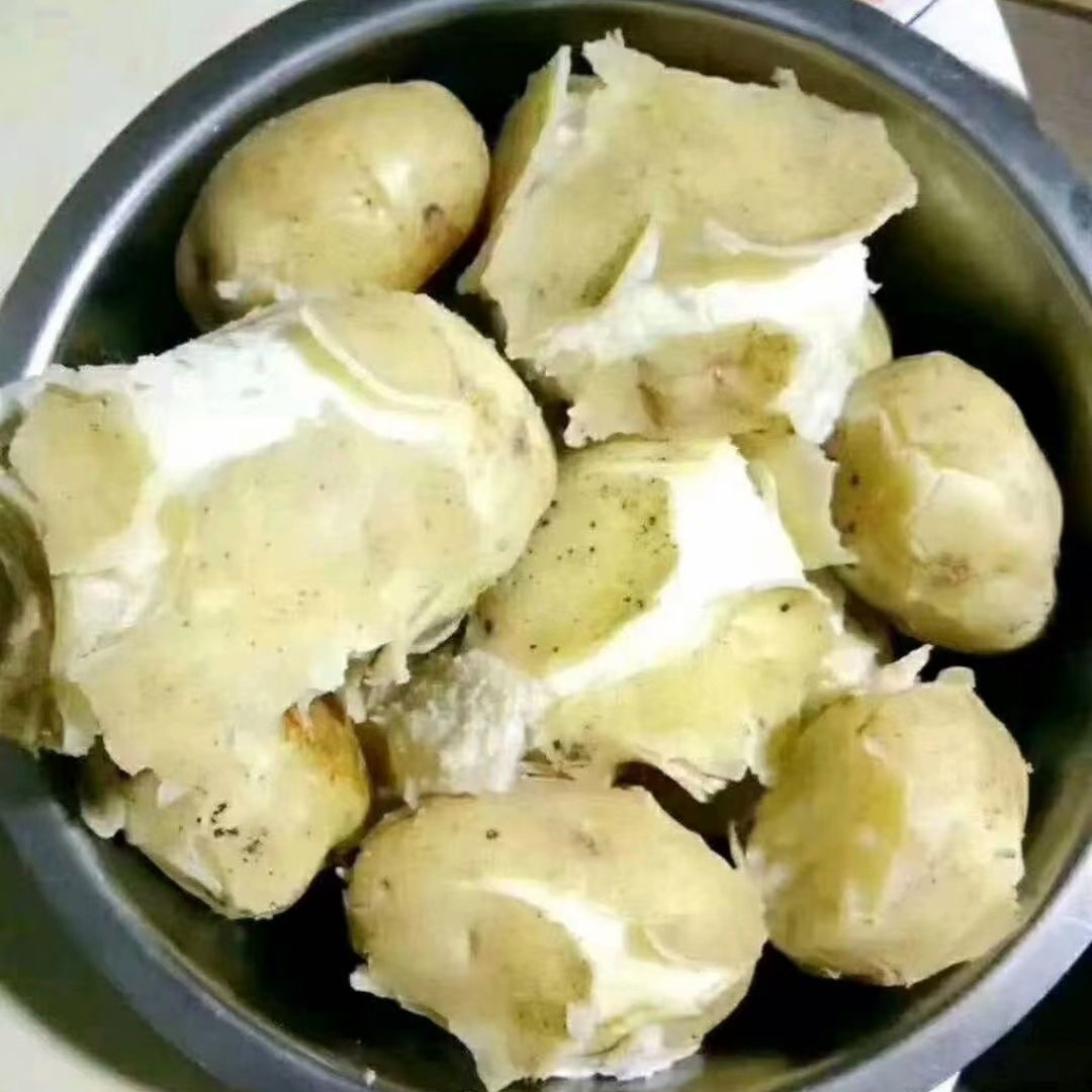 正宗甘肃陇南武都专业砸觉团洋芋